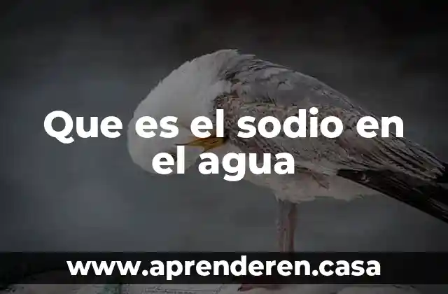 Que es el sodio en el agua