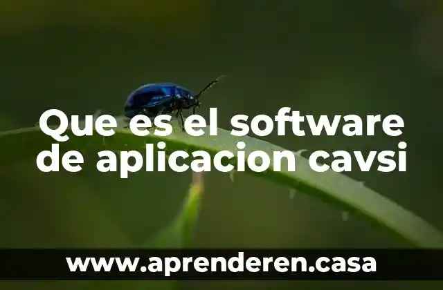 Que es el software de aplicacion cavsi