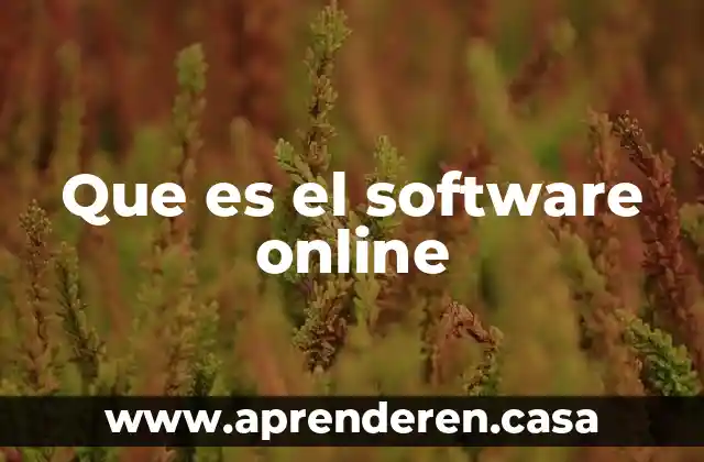 Que es programas software para abarrotes 6 Que es el software online