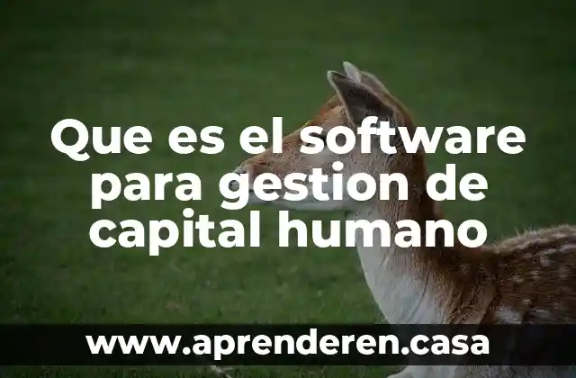 Qué es la composición orgánica de capital 4 Que es el software para gestion de capital humano