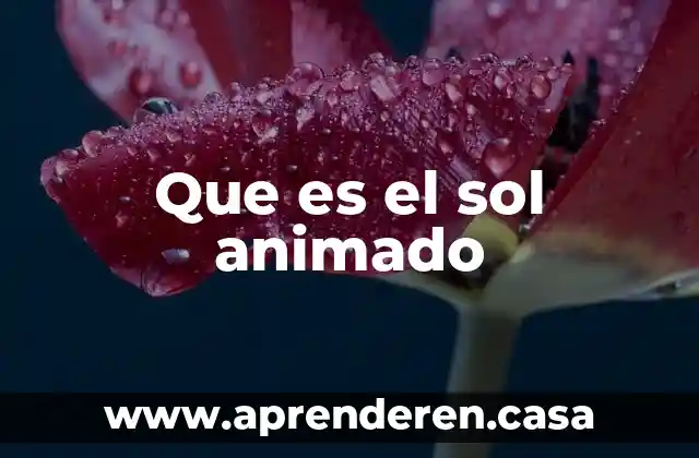 Que es el sol animado