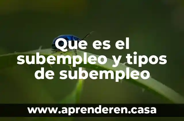 Que es la jornada extraordinaria y los tipos que existen 3 Que es el subempleo y tipos de subempleo