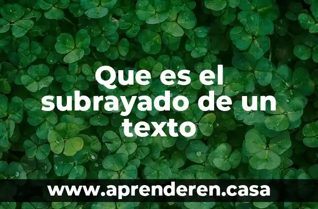 Que es el subrayado de un texto