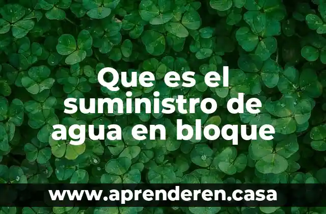 Que es el suministro de agua en bloque
