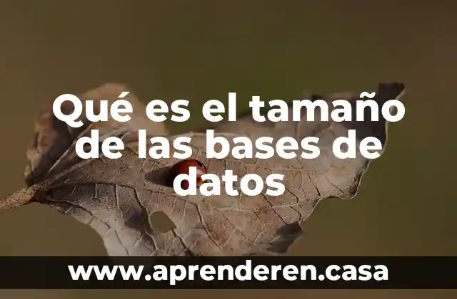 Qué es el tamaño de las bases de datos