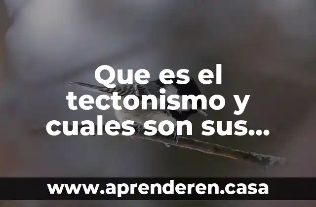 Que es el tectonismo y cuales son sus efectos