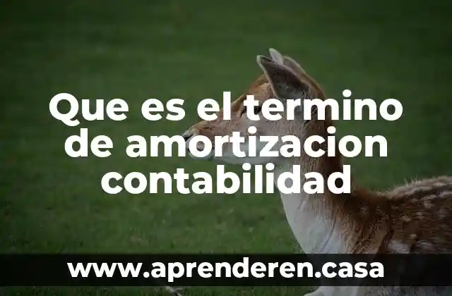 Que es una amortizacion matematica financiera 7 Que es el termino de amortizacion contabilidad