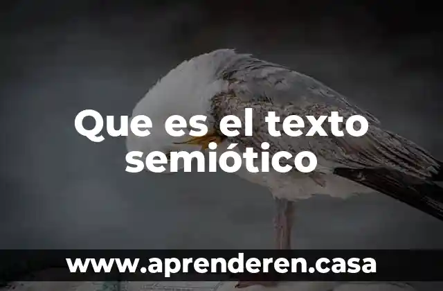 Que es el texto semiótico