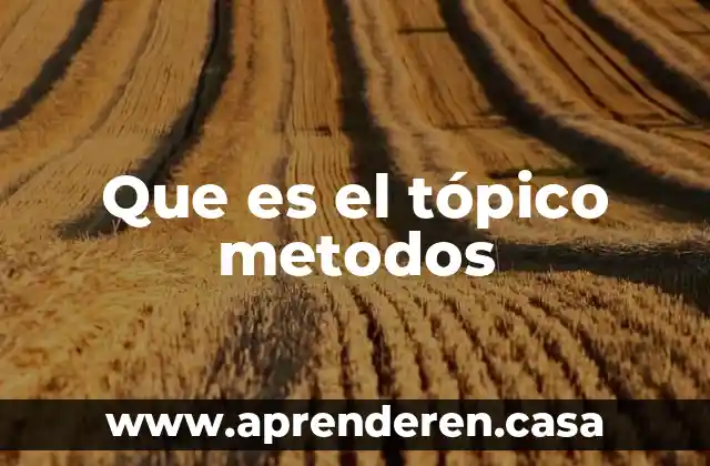 Que es el tópico metodos