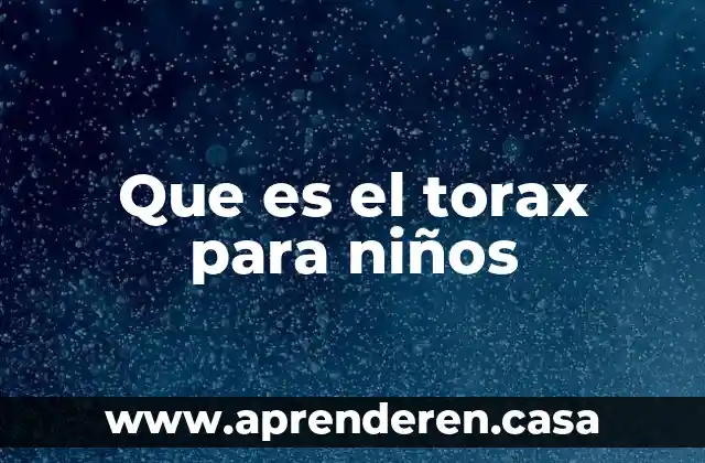 Que es leer y escribir para niños 5 Que es el torax para niños