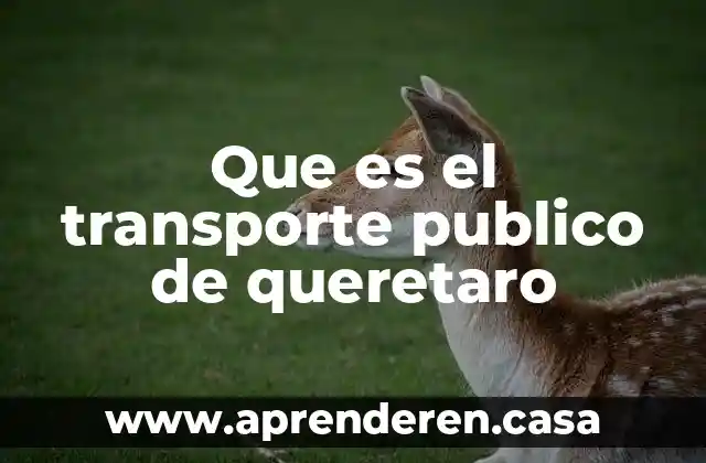 Qué es la doctrina diplomática dentro del derecho internacional público 6 Que es el transporte publico de queretaro