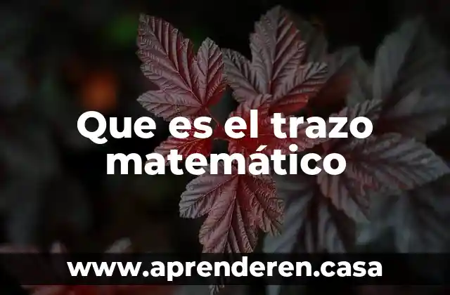 Que es el trazo matemático