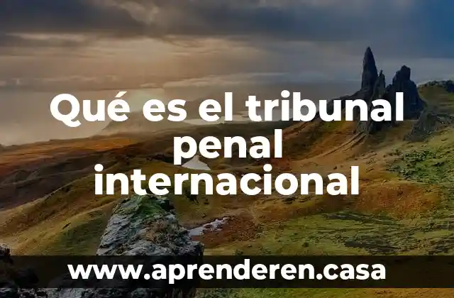 Derecho procesal penal 5 Qué es el tribunal penal internacional