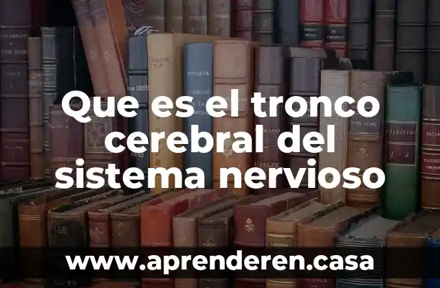 Que es el tronco cerebral del sistema nervioso