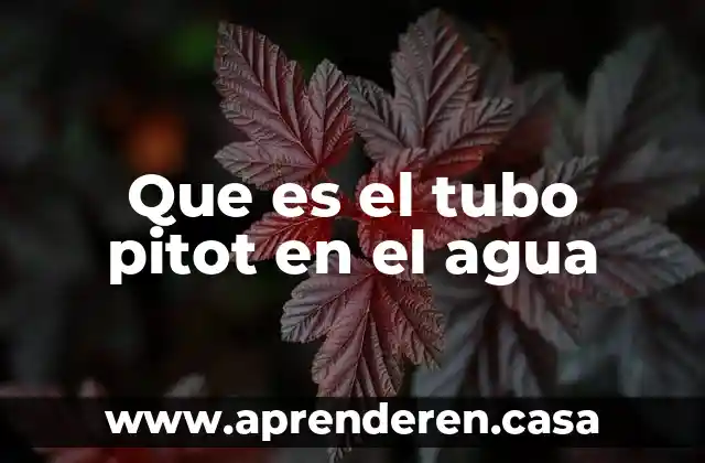 Que es el tubo pitot en el agua
