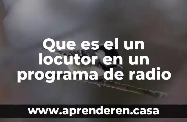 Que es el un locutor en un programa de radio