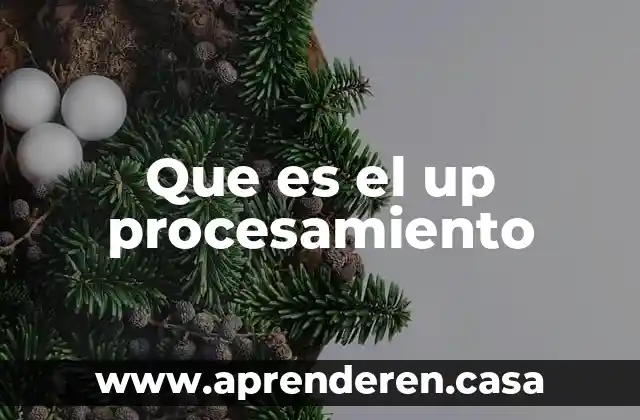 Que es el up procesamiento