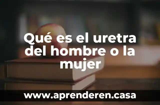 Qué es el uretra del hombre o la mujer