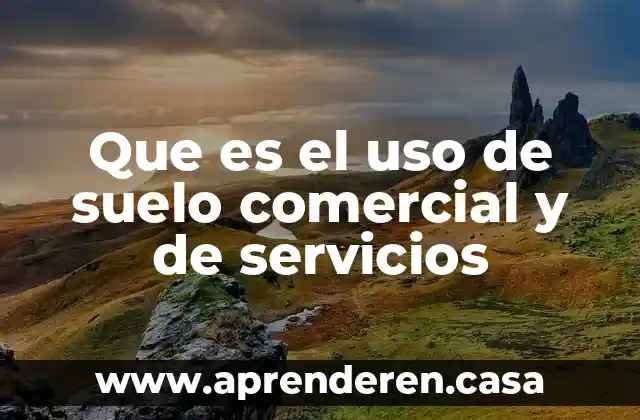 Que es el uso de suelo comercial y de servicios