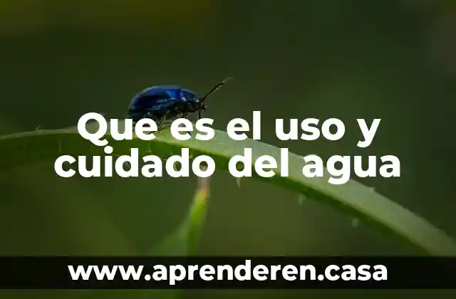 Que es perro de agua 4 Que es el uso y cuidado del agua