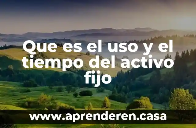 Que es el uso y el tiempo del activo fijo