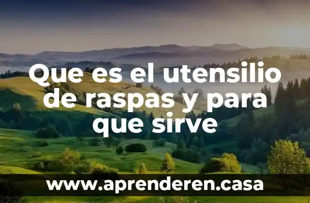 Que es el utensilio de raspas y para que sirve
