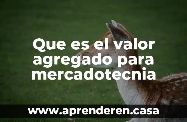 Que es el valor agregado para mercadotecnia
