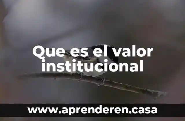 Que es el valor institucional
