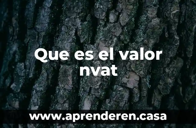 Que es el programa academica en el cet 1ipn 8 Que es el valor nvat