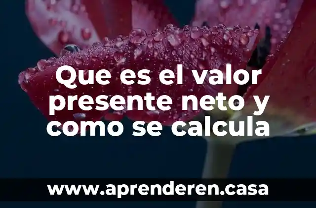Que es el valor presente neto y como se calcula