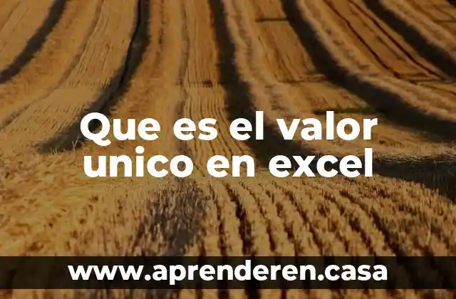 Que es el valor unico en excel