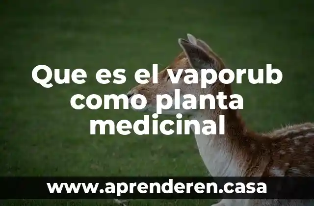 Que es el vaporub como planta medicinal