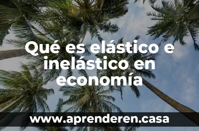 Que es economia simple y compleja 5 Qué es elástico e inelástico en economía
