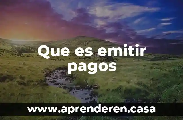 Que es emitir pagos