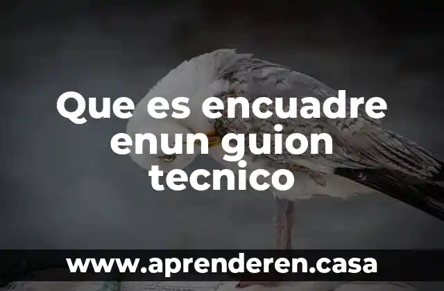 Que es un guion de apoyo y su estructura 3 Que es encuadre enun guion tecnico
