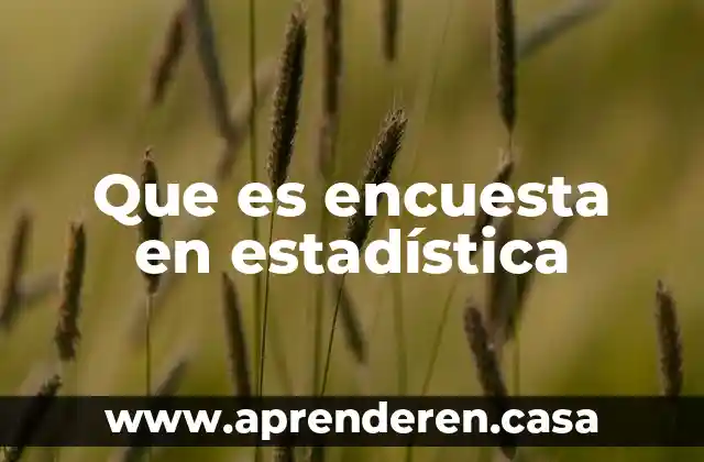 Que es encuesta en estadística
