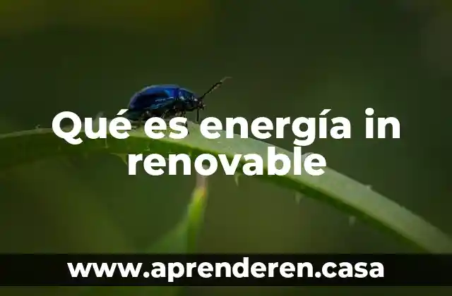 Qué es energía in renovable