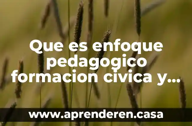 Que es enfoque pedagogico formacion civica y etica