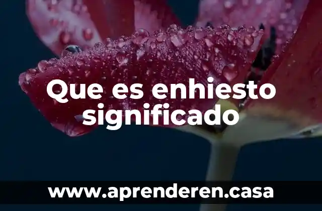 Que es enhiesto significado