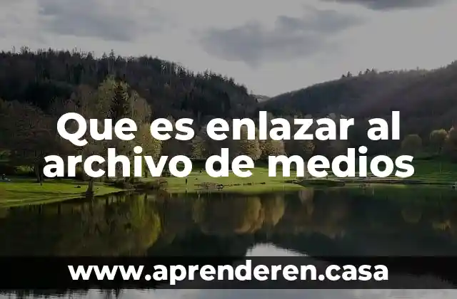 Que es enlazar al archivo de medios