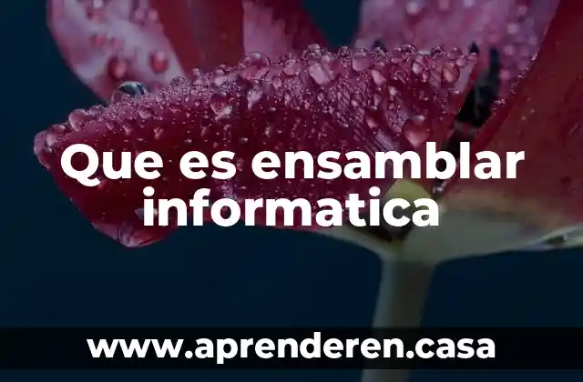 ¿Qué es PVM en informática? 5 Que es ensamblar informatica