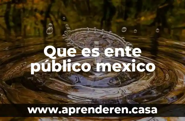 Que es ente público mexico