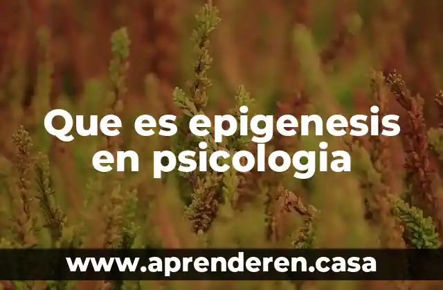 Que es epigenesis en psicologia