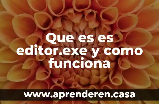 Que es es editor.exe y como funciona