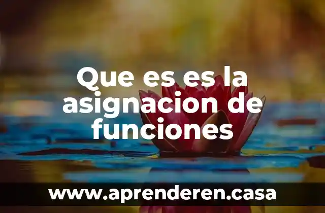 Que es un procedimiento y sus funciones 3 Que es es la asignacion de funciones