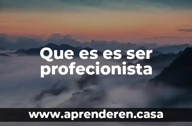 Que es es ser profecionista