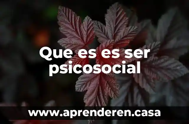 Que es es ser psicosocial