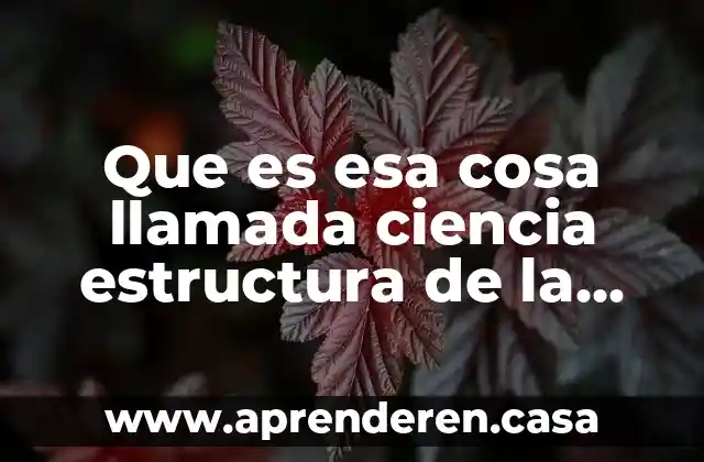 Que es esa cosa llamada ciencia estructura de la obra