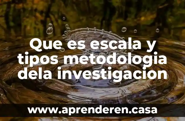 Que es escala y tipos metodologia dela investigacion