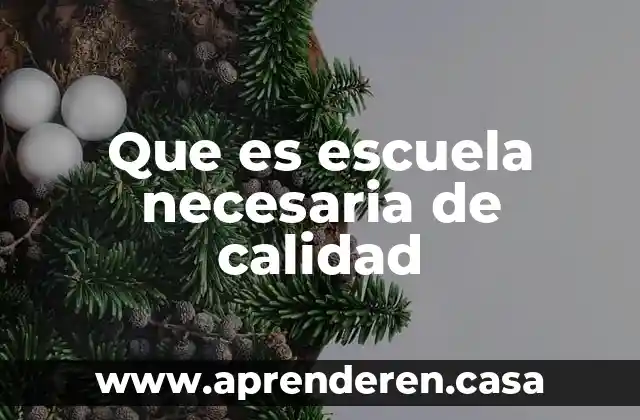 Que es escuela necesaria de calidad